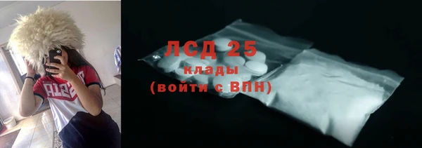 сатива Аркадак