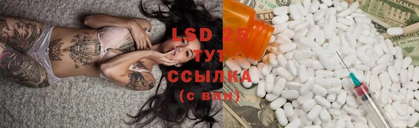 PSILOCYBIN Баксан