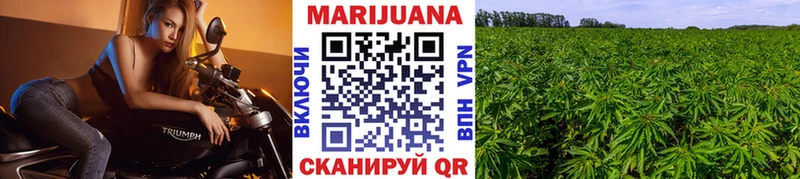 МАРИХУАНА OG Kush Карачаевск